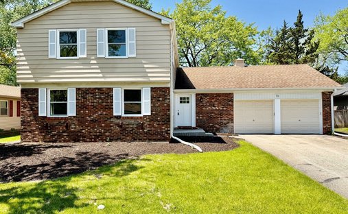 House in Buffalo Grove, Illinois, United States 1