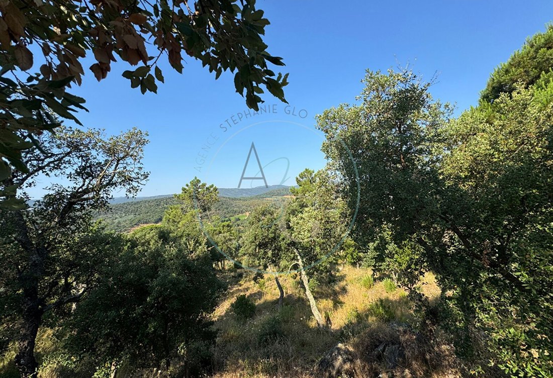 Land in Grimaud, Provence-Alpes-Côte d'Azur, France 2 - 16497355