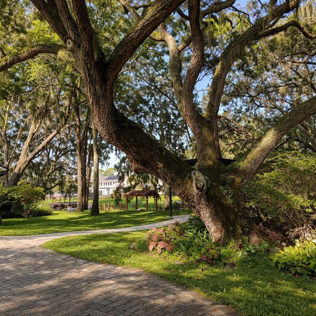 House in Orlando, Florida, United States 3 - 17928891