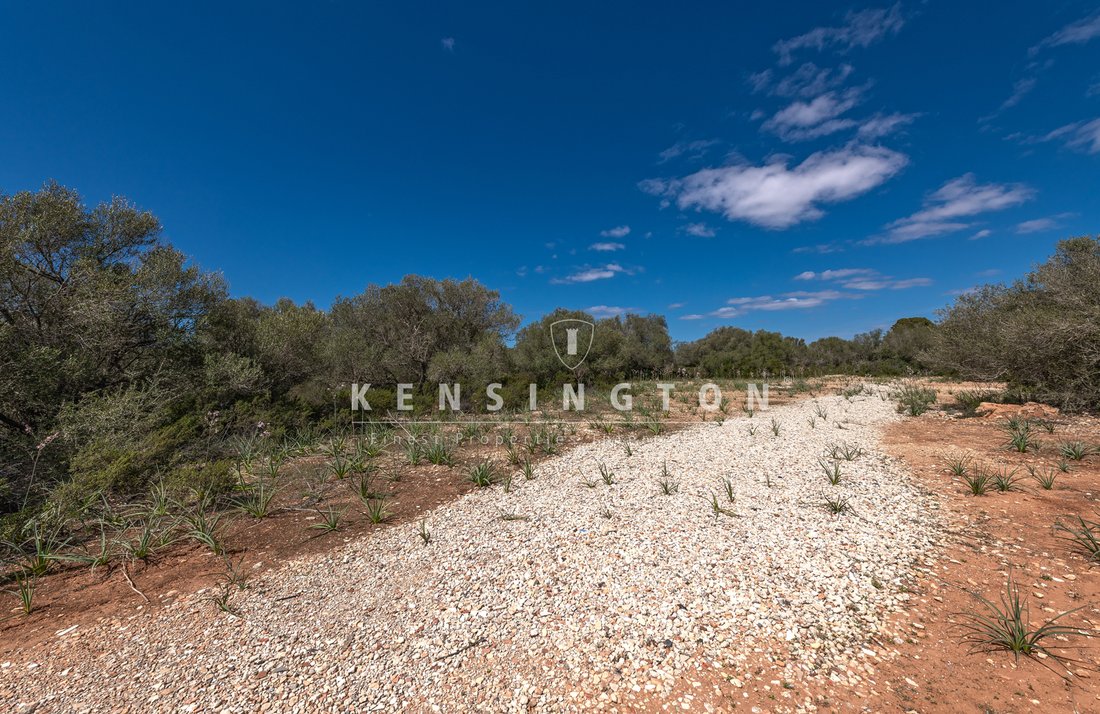 Land in Llucmajor, Balearic Islands, Spain 4 - 17938960