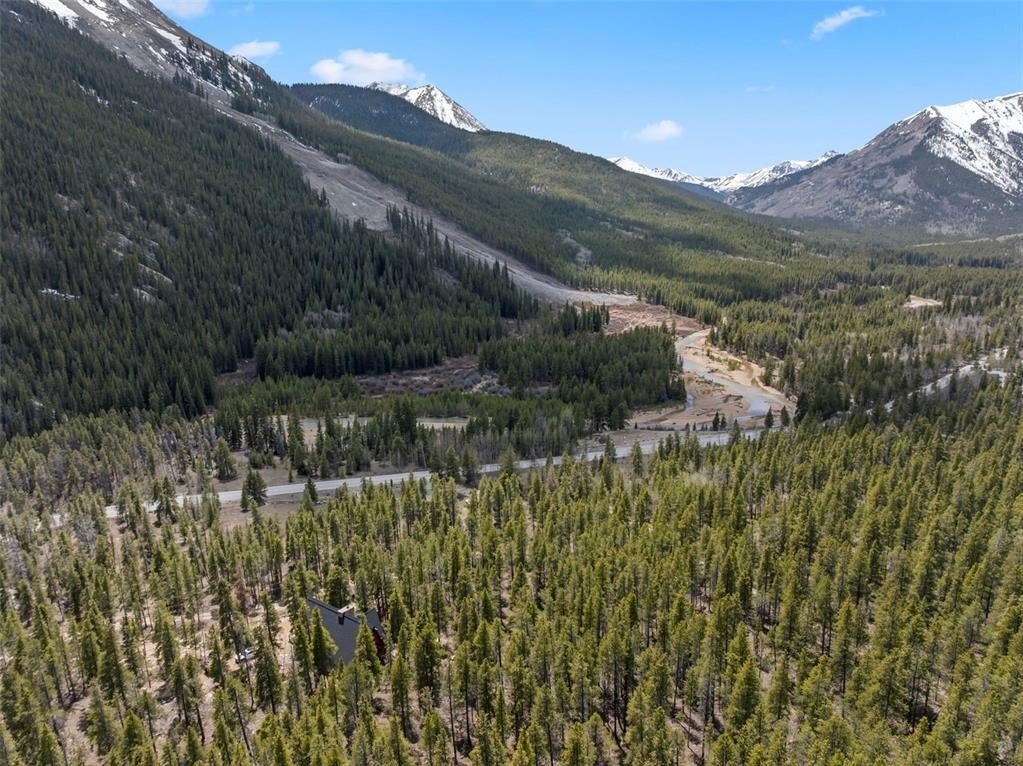 House in Buena Vista, Colorado, United States 2 - 17941900