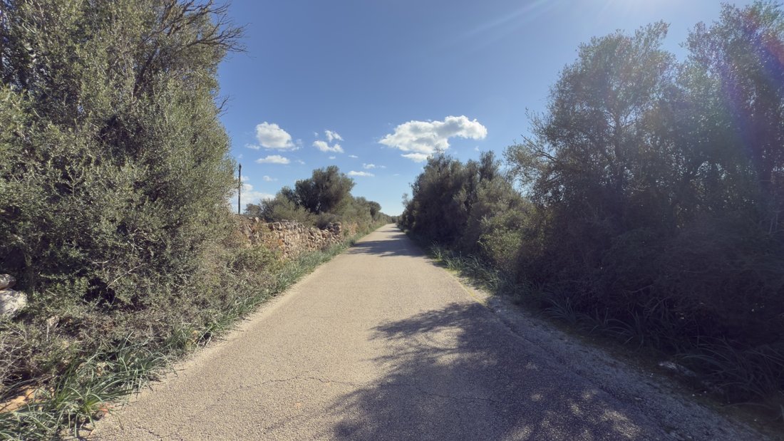 Land in Llucmajor, Balearic Islands, Spain 3 - 17938960