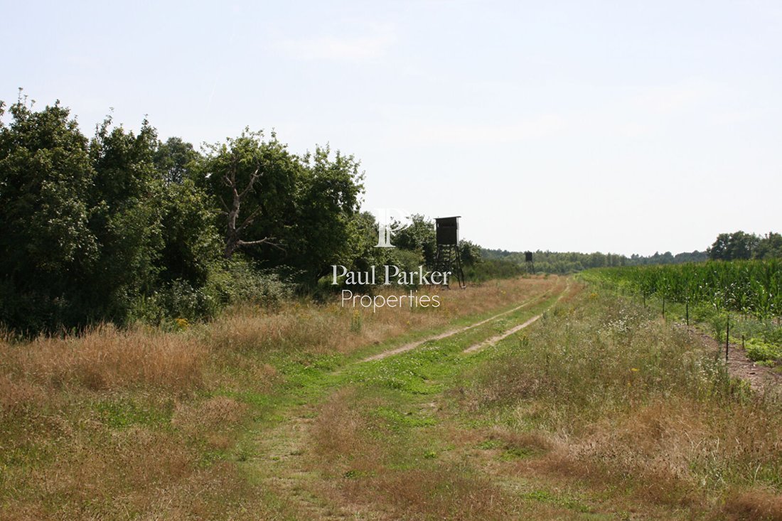 Land in Salbris, Centre-Val de Loire, France 4 - 17943007