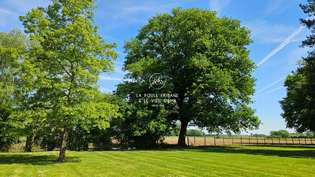 House in Houdan, Ile-de-France, France 5 - 15929059