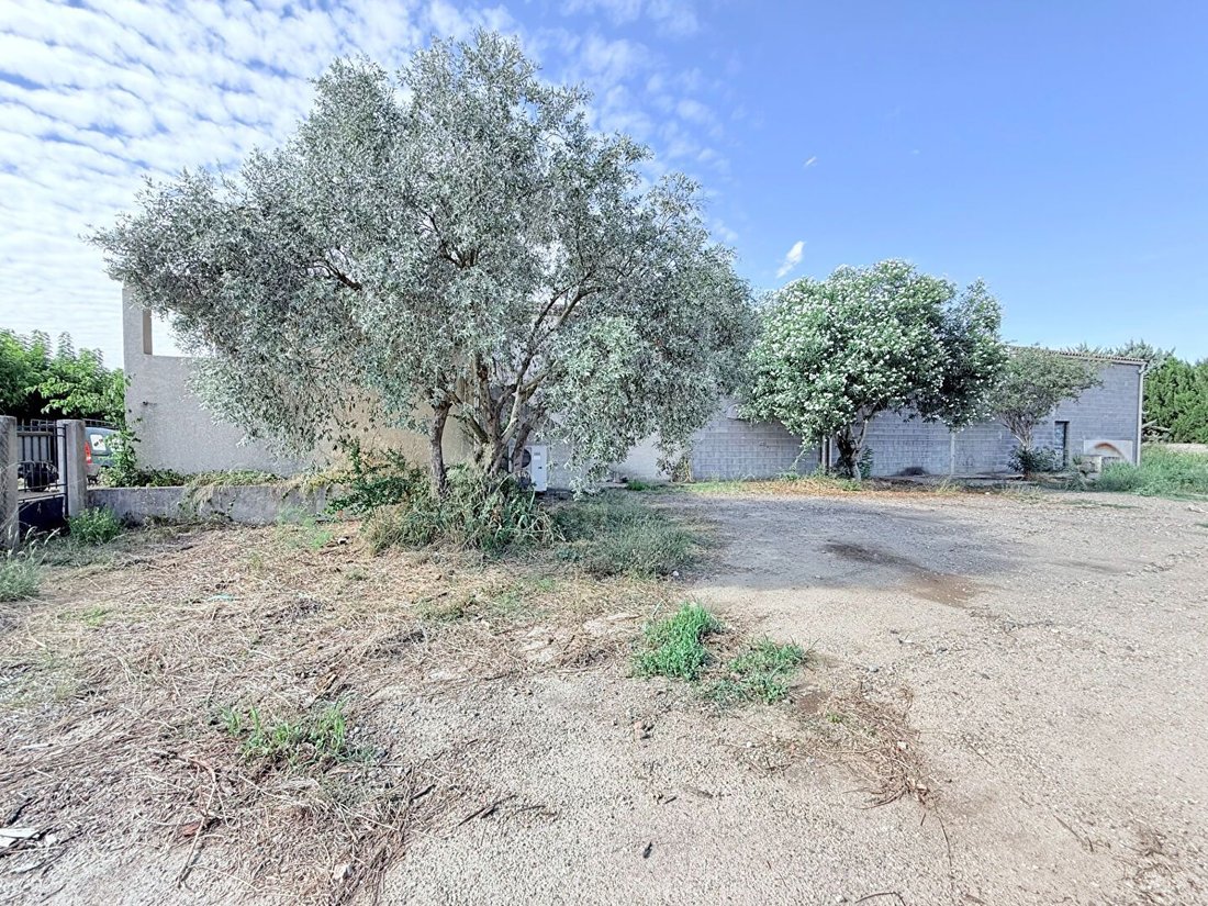 House in Puissalicon, Occitania, France 1 - 16497634