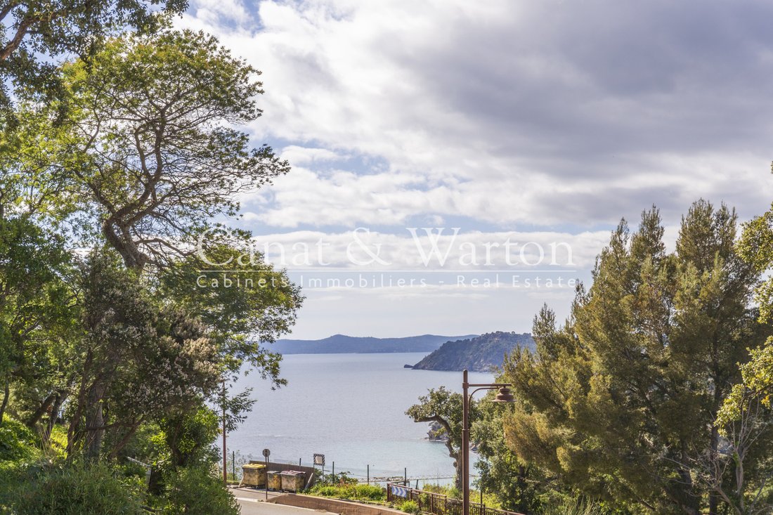 Villa in Rayol-Canadel-sur-Mer, Provence-Alpes-Côte d'Azur, France 2 - 17438770