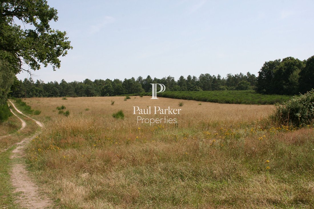 Land in Salbris, Centre-Val de Loire, France 5 - 17943007