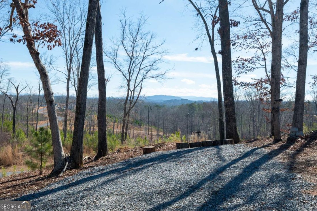 House in Ellijay, Georgia, United States 4 - 17934124