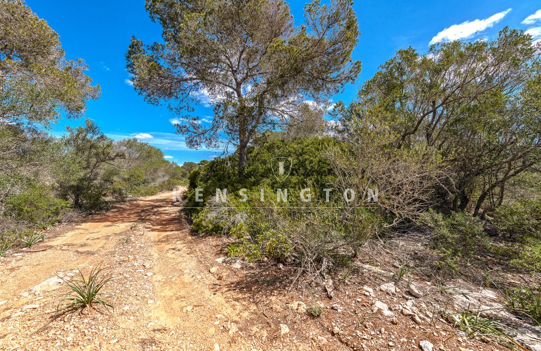 Land in Llucmajor, Balearic Islands, Spain 5 - 17938960