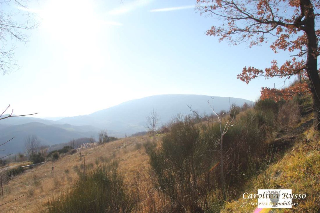 Country House in Assisi, Umbria, Italy 3 - 16623745