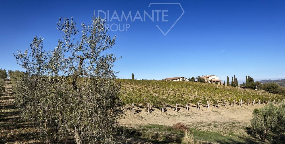 Land in Castel del Piano, Tuscany, Italy 5 - 17933866