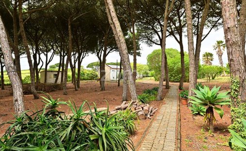 Finca in Sintra, Lisbon, Portugal 1