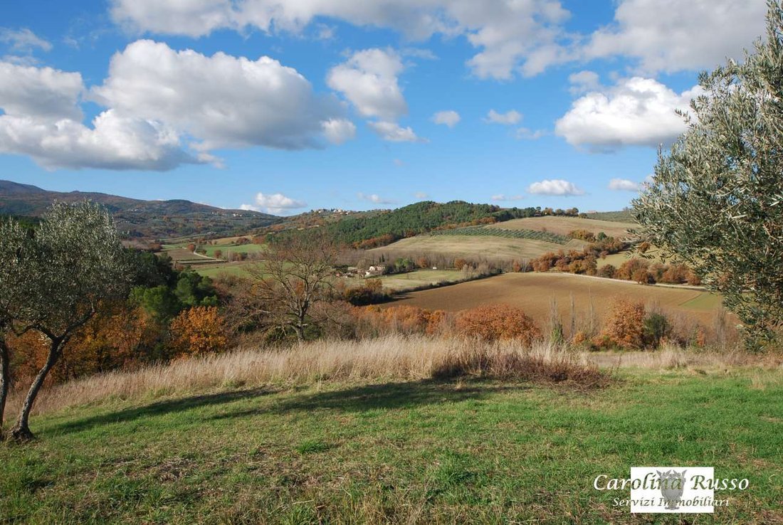 Estate in Montefalco, Umbria, Italy 5 - 16623522