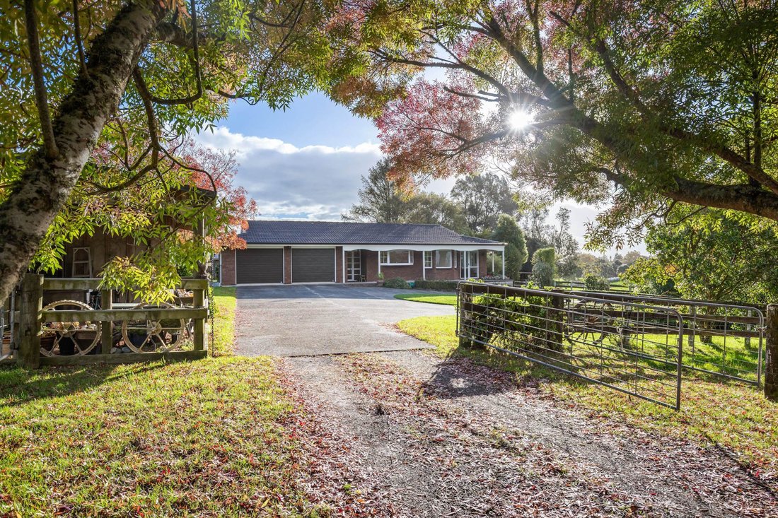 House in Auckland, Auckland, New Zealand 5 - 17936467
