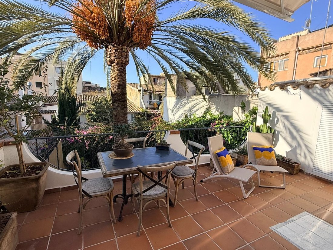 Apartment in Palma, Balearic Islands, Spain 2 - 17220155