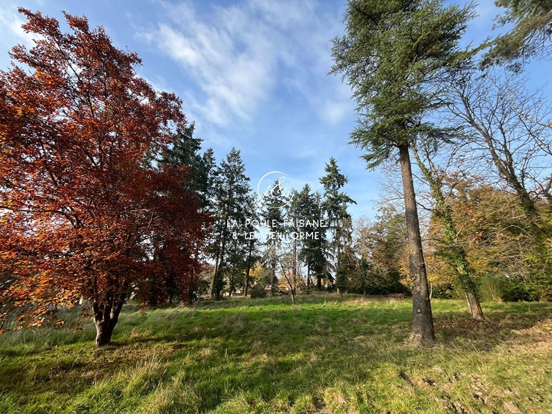 House in Rambouillet, Ile-de-France, France 5 - 15929000