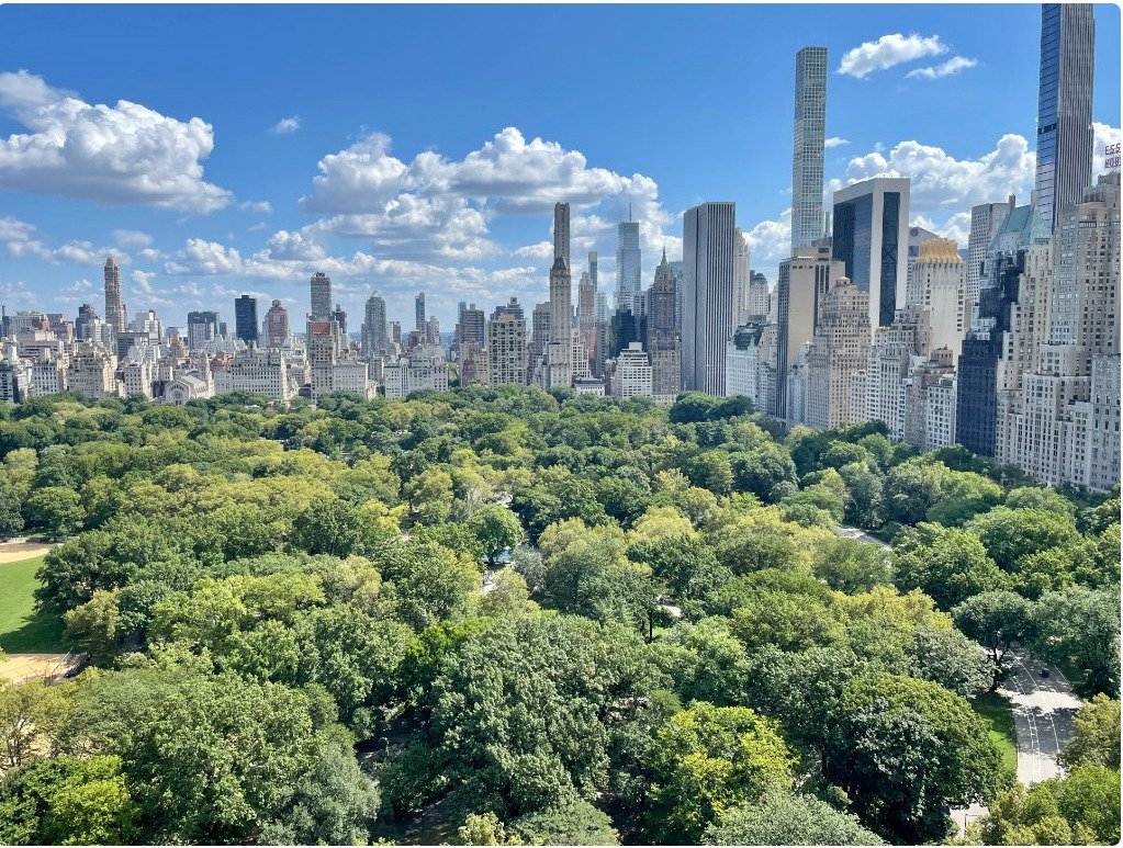 Condo in New York, New York, United States 1 - 17893756