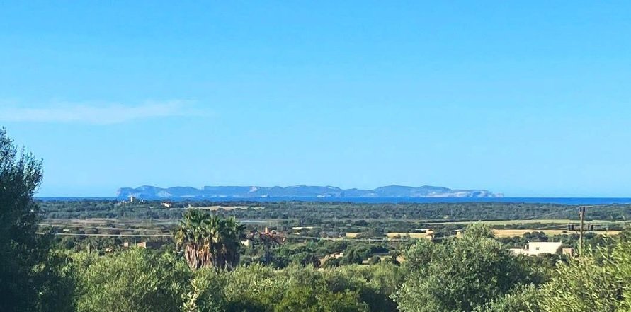 Villa in ses Salines, Balearic Islands, Spain 1 - 17773674