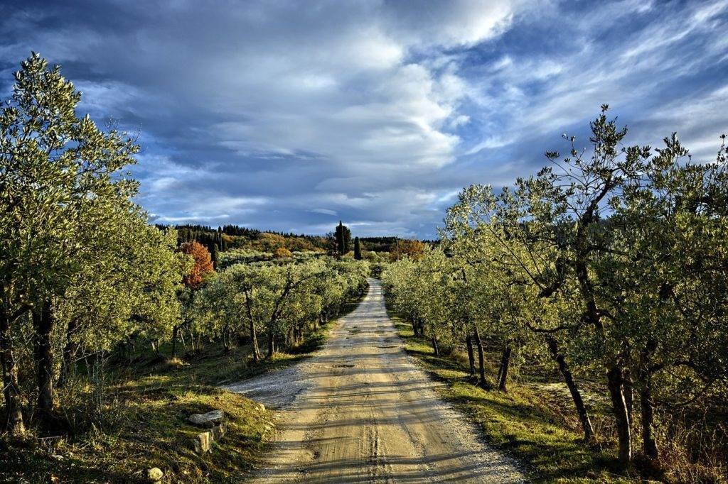 Estate in Ferrone - Passo dei Pecorai, Greve in Chianti, Tuscany 5 - 17941120