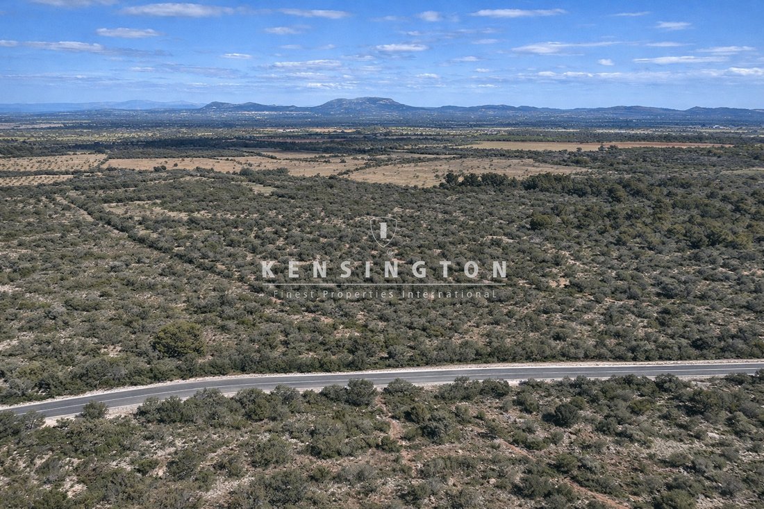 Land in Llucmajor, Balearic Islands, Spain 2 - 17938960