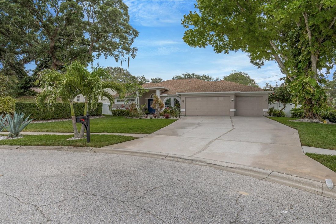 House in Tarpon Springs, Florida, United States 1 - 17933868