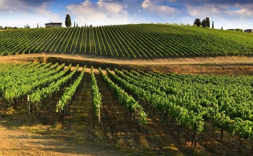 Tenuta a Ferrone - Passo dei Pecorai, Greve in Chianti, Toscana 1