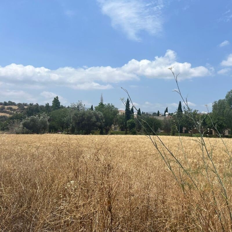 Villa in Poli Crysochous, Paphos, Cyprus 1 - 17943643