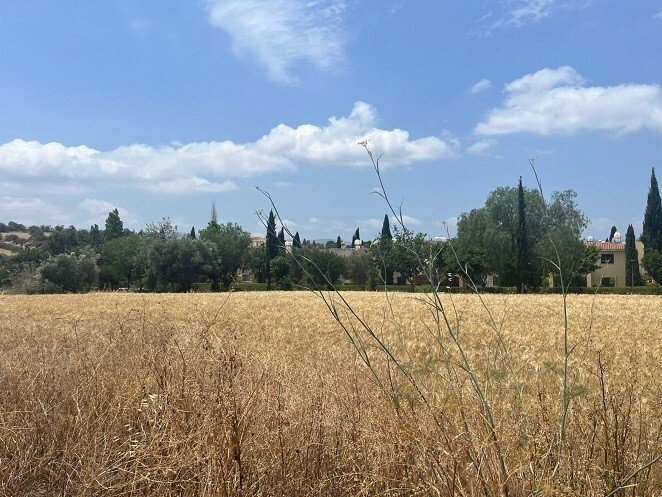 Villa in Poli Crysochous, Paphos, Cyprus 5 - 17943643