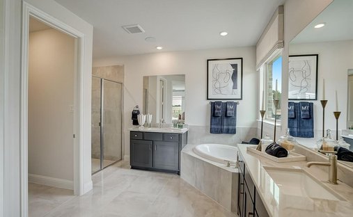 House in Little Elm, Texas, United States 1