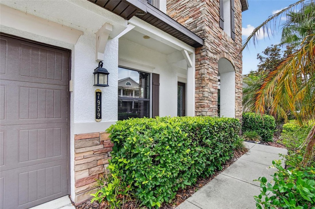 House in Tampa, Florida, United States 3 - 17933867