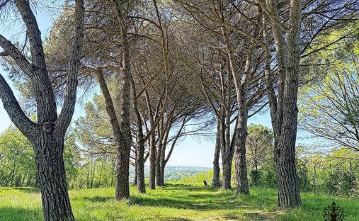 Villa a Le Lac-Bacalan, Bordeaux, Francia 1