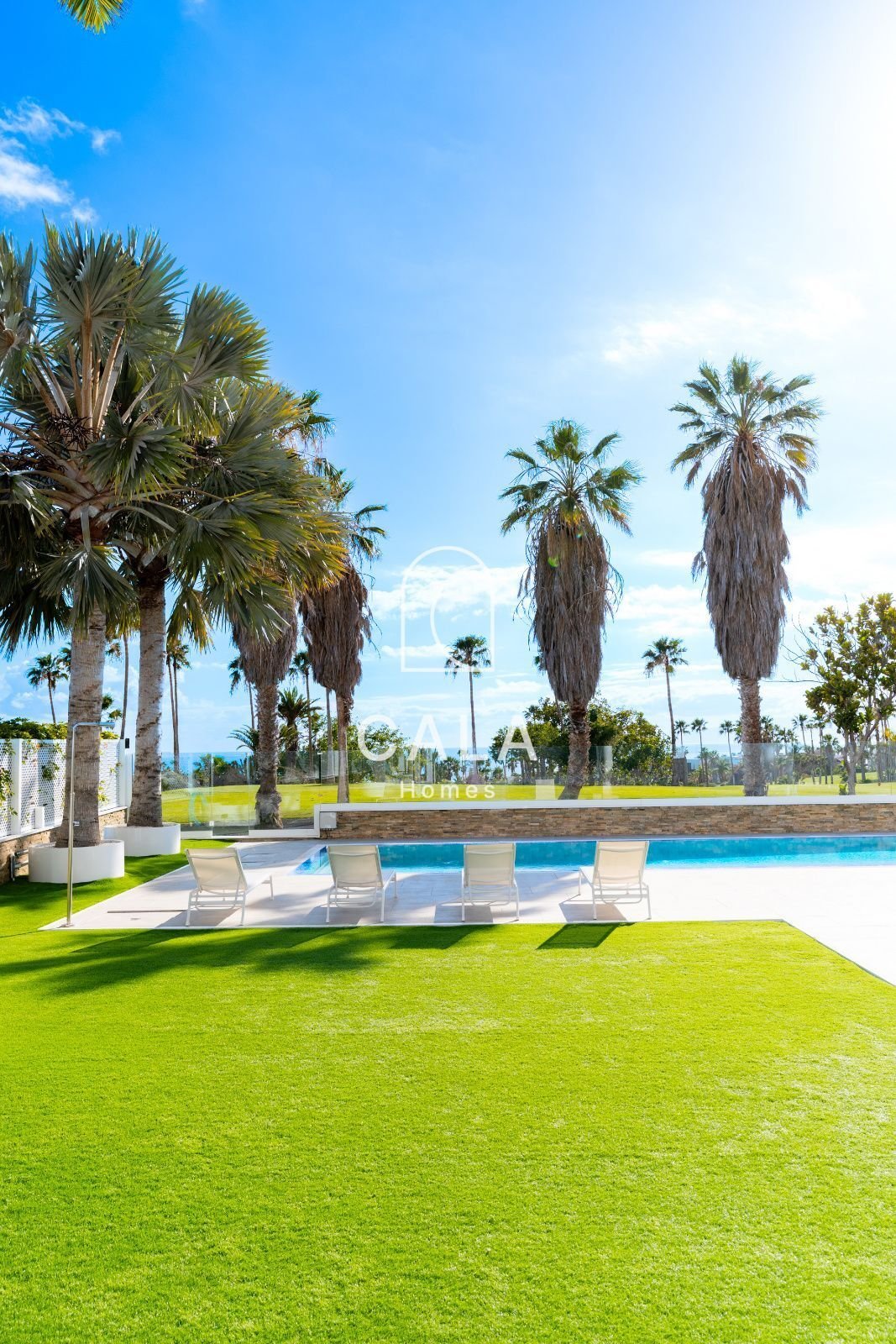 Villa in La Caleta, Adeje, Canary Islands 3 - 17928120