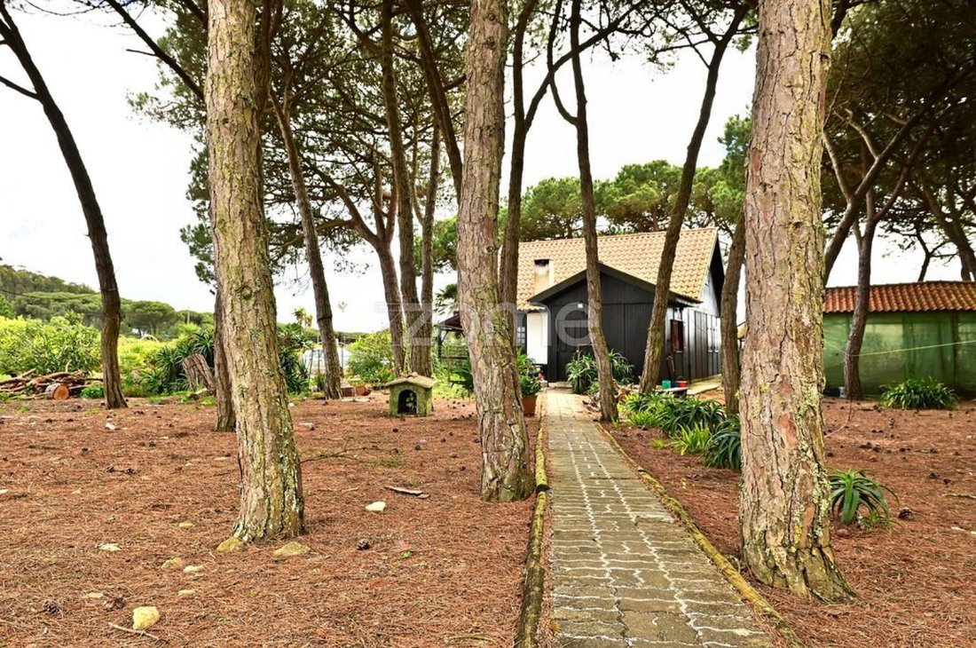 Finca in Sintra, Lisbon, Portugal 4 - 17935326