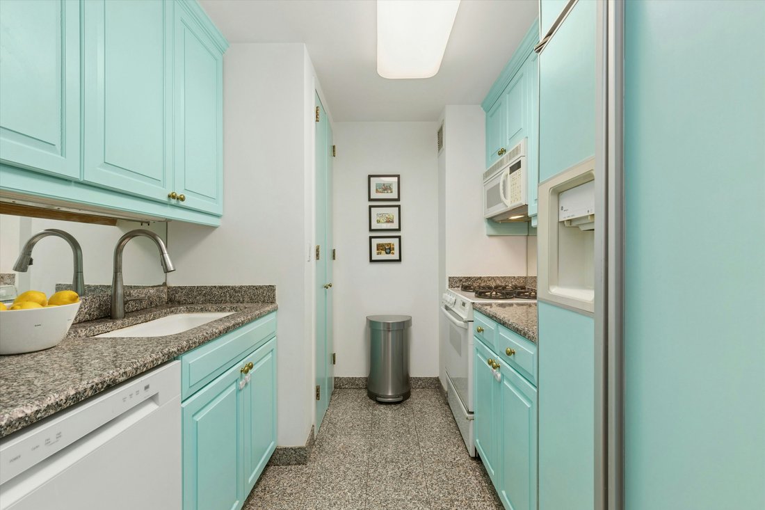 Condo in New York, New York, United States 4 - 17854851
