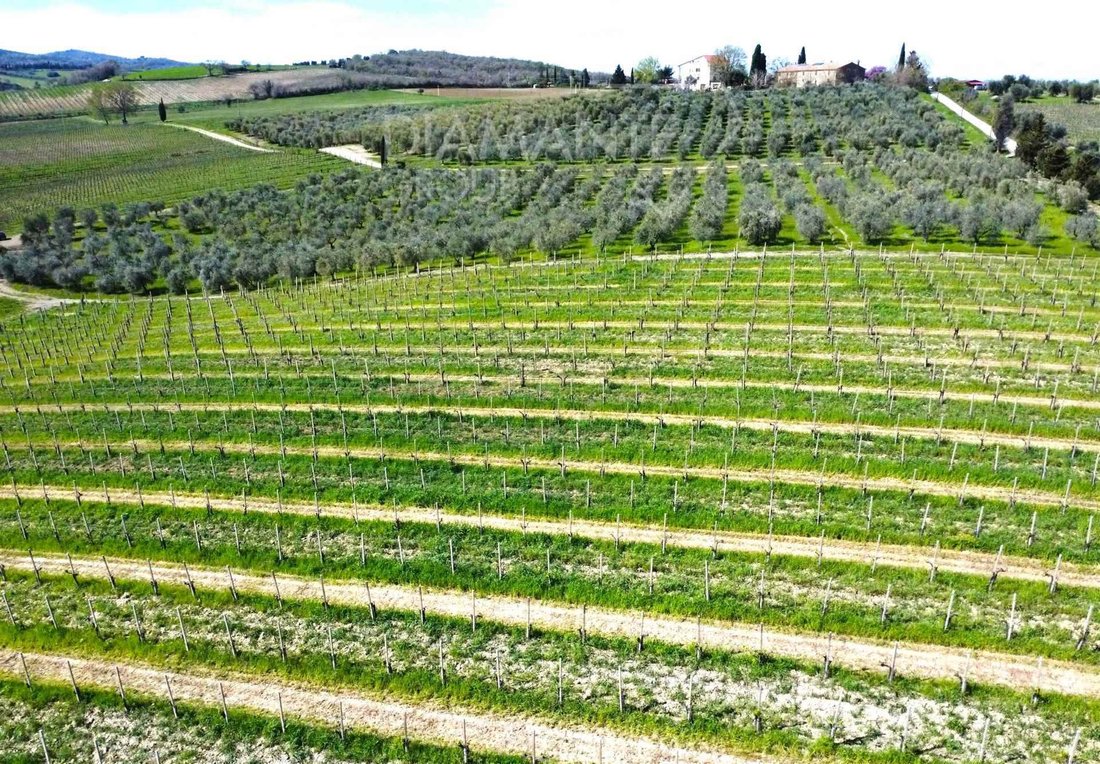 Land in Castel del Piano, Tuscany, Italy 1 - 17933866