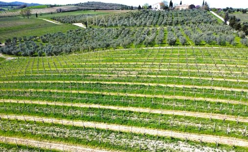 Terreno a Castel del Piano, Toscana, Italia 1
