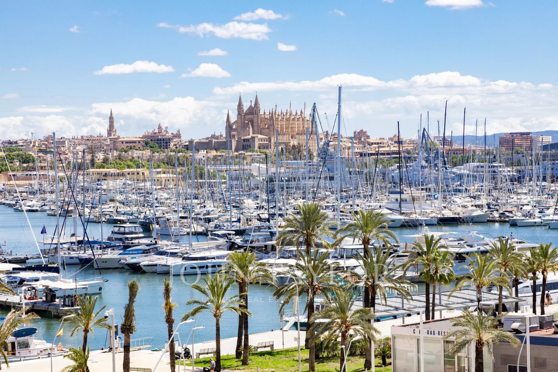 Apartment in Palma, Balearic Islands, Spain 5 - 17573425