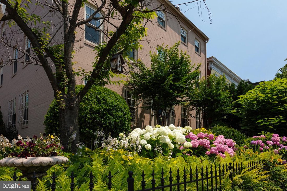 House in Washington, District of Columbia, United States 5 - 15551230