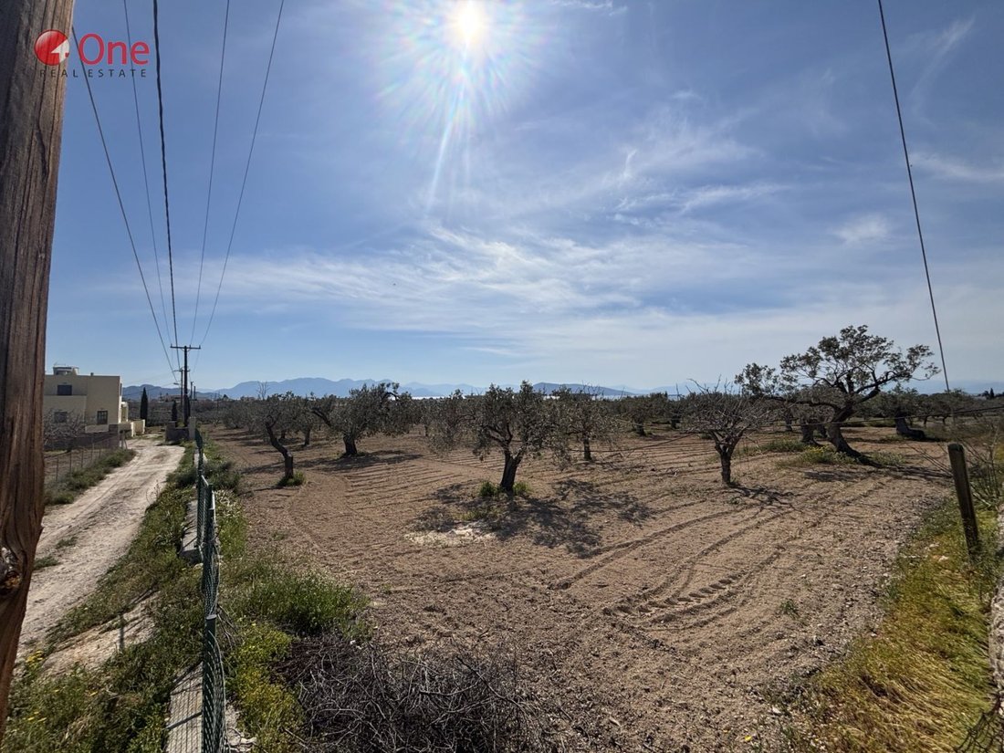 Land in Aegina, Attica, Greece 2 - 17930517