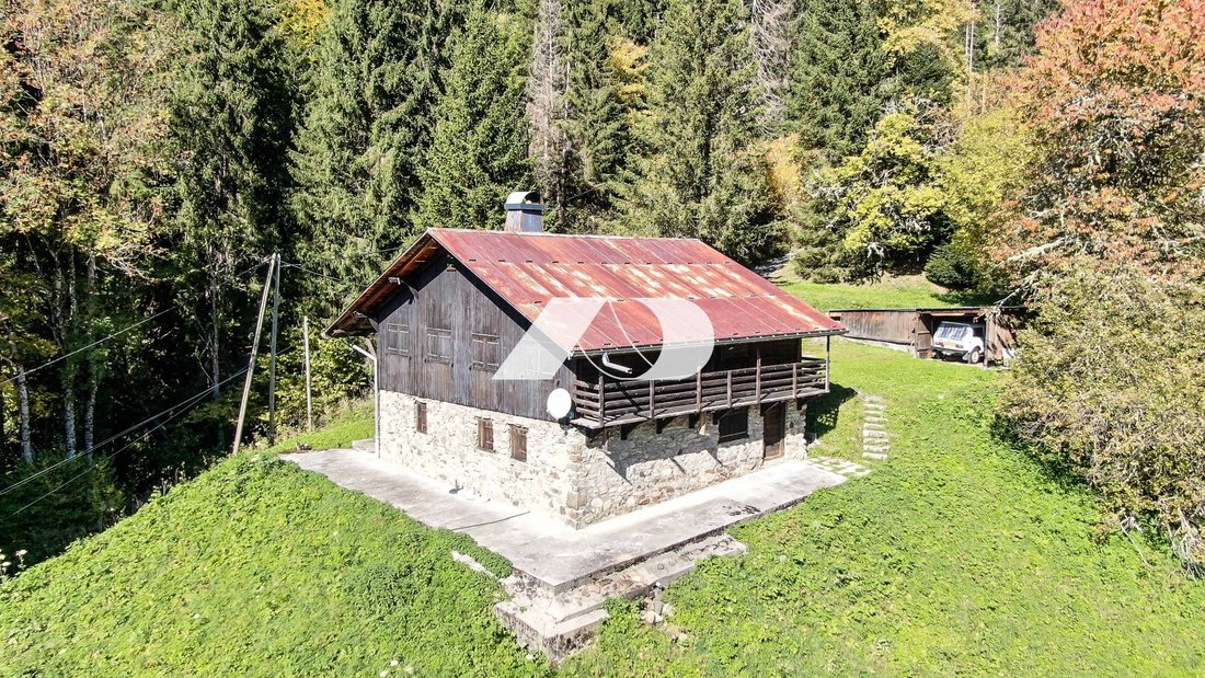 Chalet in Saint-Jean-d'Aulps, Auvergne-Rhône-Alpes, France 1 - 17941880