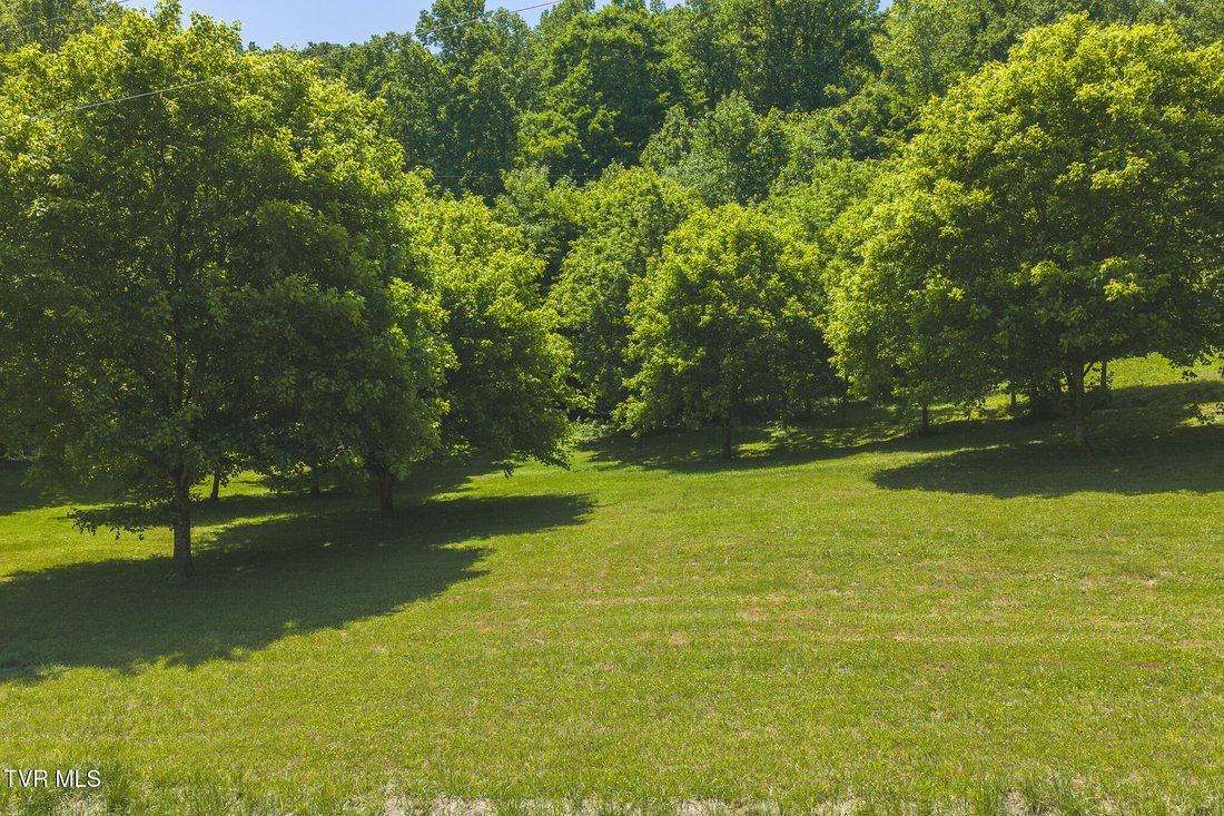 House in Speedwell, Tennessee, United States 3 - 17939318