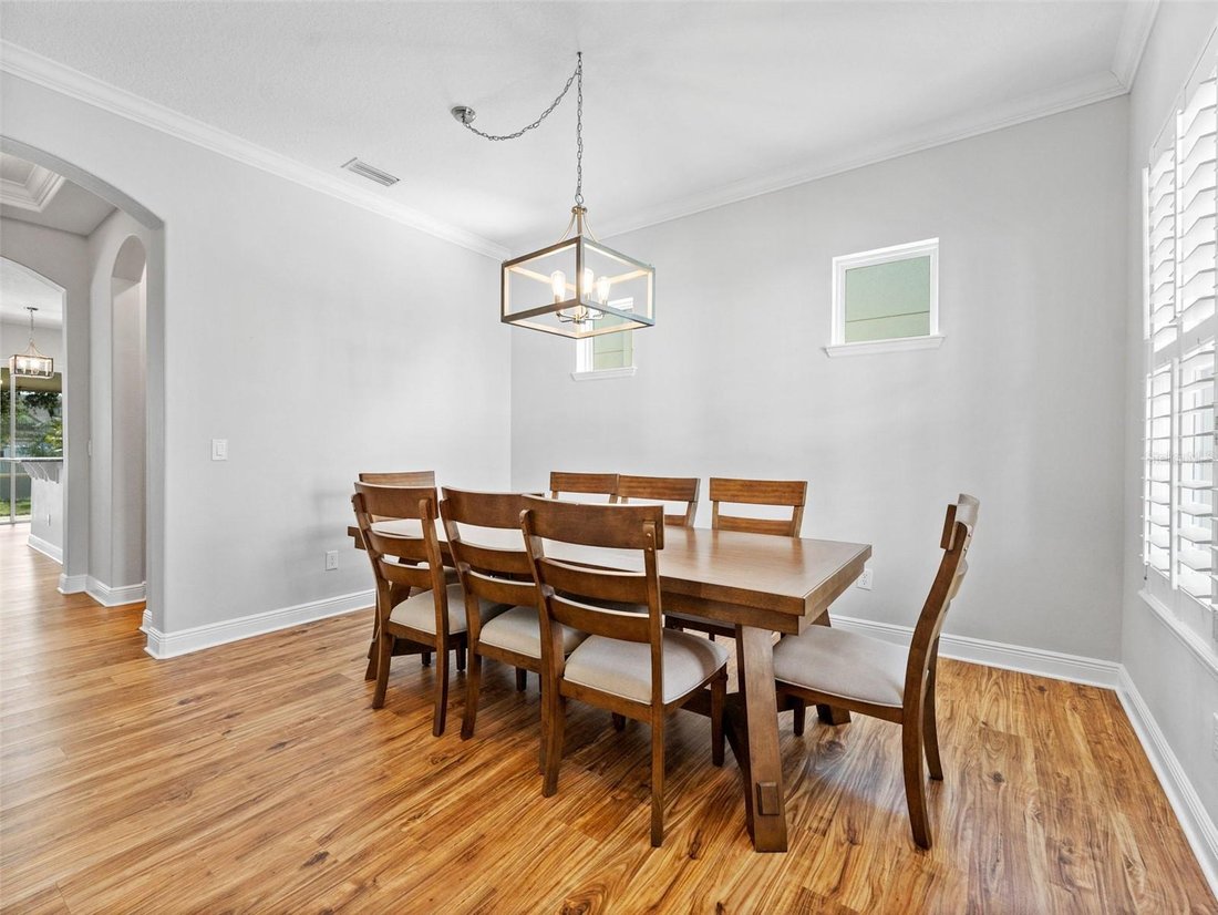 House in Tampa, Florida, United States 3 - 17933907