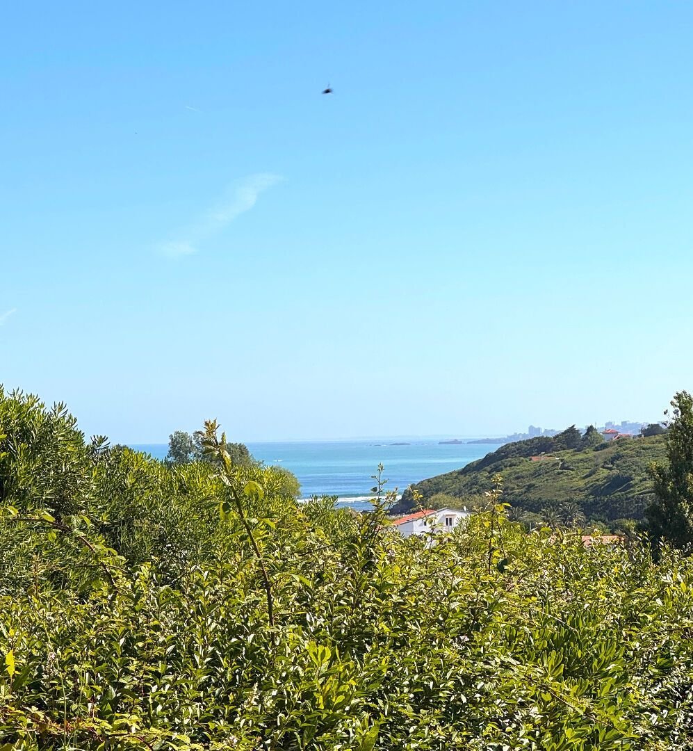 House in Acotz, Saint-Jean-de-Luz, France 2 - 15961217