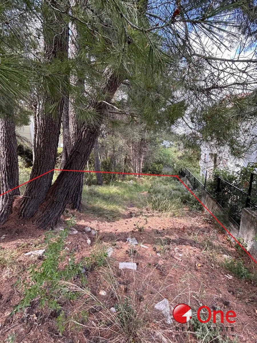 Land in Dionysos, Attica, Greece 5 - 17930881