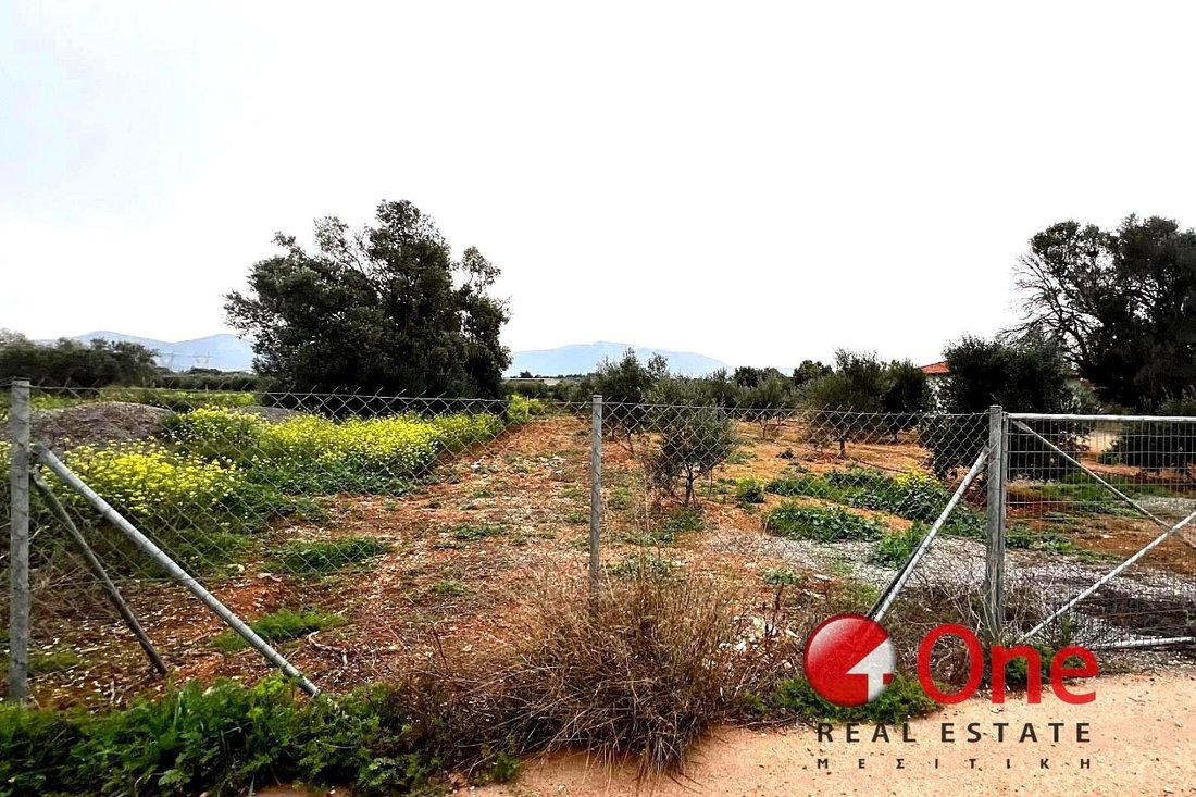 Land in Kropia, Attica, Greece 1 - 17931186