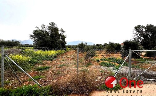 Land in Kropia, Attica, Greece 1