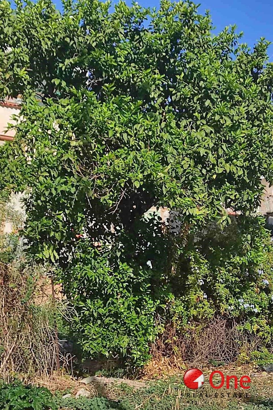Land in Chaidari, Attica, Greece 1 - 17930413