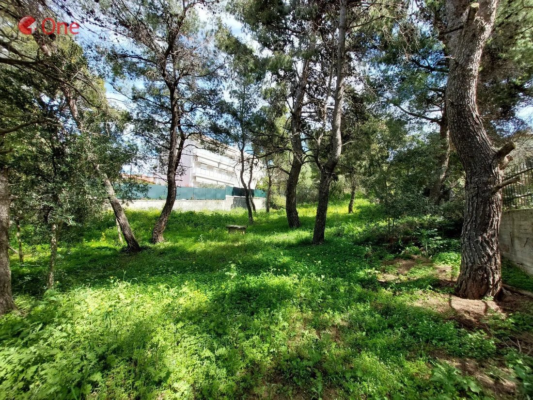Terrain à Penteli, Attique, Grèce 1 - 17931699