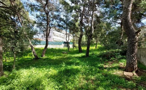 Terrain à Penteli, Attique, Grèce 1