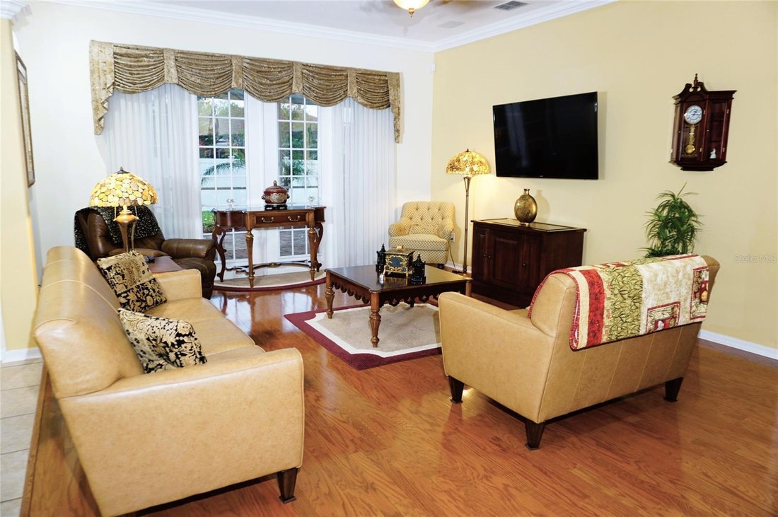 House in Land O' Lakes, Florida, United States 5 - 17913187